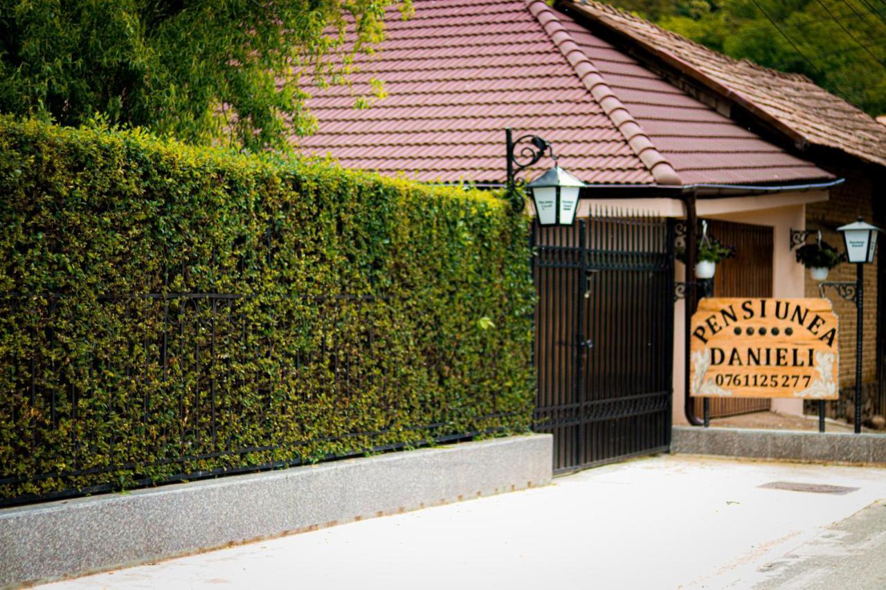 Pensiunea Danieli Maison d'hôtes Eftimie Murgu